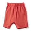 Amazon Essentials Baby Rash Guard Swim One Piece Quick Dry-4