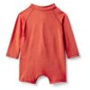 Amazon Essentials Baby Rash Guard Swim One Piece Quick Dry-2
