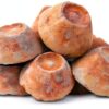Aquadomes Heavy Coral Frag Plugs Mounts Reefsmart 10pk Aragonite-2