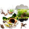 Natural Coral Driftwood Suzile 20pcs Aquarium Terrarium Branch-4