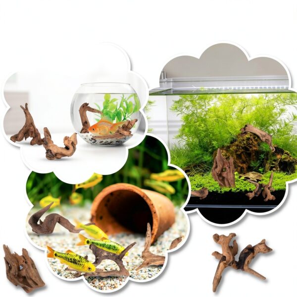 Natural Coral Driftwood Suzile 20pcs Aquarium Terrarium Branch-4