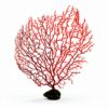 Zorfeter Red Sea Fan Coral Decorations 2‑Piece PVC Fans 11.8in/6.7in-2