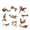 Natural Coral Driftwood Suzile 20pcs Aquarium Terrarium Branch-2