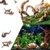 Natural Coral Driftwood Suzile 20pcs Aquarium Terrarium Branch-3
