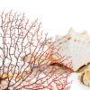 Zorfeter Red Sea Fan Coral Decorations 2‑Piece PVC Fans 11.8in/6.7in-3