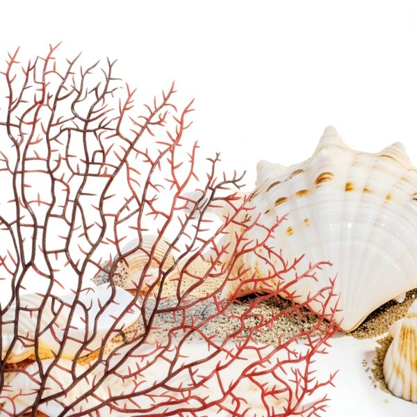 Zorfeter Red Sea Fan Coral Decorations 2‑Piece PVC Fans 11.8in/6.7in-3
