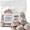 Aquadomes Heavy Coral Frag Plugs Mounts Reefsmart 10pk Aragonite-0