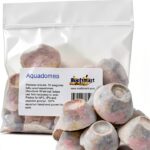Aquadomes Heavy Coral Frag Plugs Mounts Reefsmart 10pk Aragonite-0