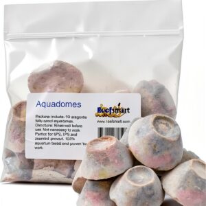 Aquadomes Heavy Coral Frag Plugs Mounts Reefsmart 10pk Aragonite-0