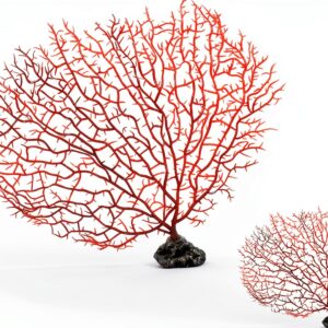 Zorfeter Red Sea Fan Coral Decorations 2‑Piece PVC Fans 11.8in/6.7in-0