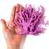 Coral Reef Decor 5 Pcs Artificial Plastic Plants Aquarium by ASUNFO-5
