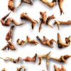 Natural Coral Driftwood Suzile 20pcs Aquarium Terrarium Branch-0
