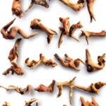 Natural Coral Driftwood Suzile 20pcs Aquarium Terrarium Branch-0