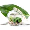Green Coral Fake Plant 3"x1" BuleVina Aquarium Ornament-3