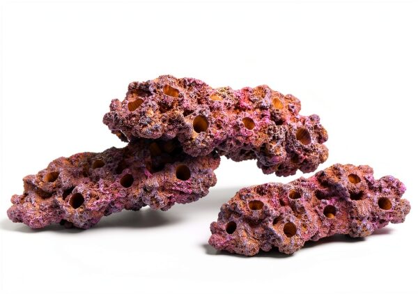 Magnetic Reef Coral Frag Rack Rock Reefing Art N52 Magnets 1/2" Purple-3