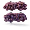 Magnetic Reef Coral Frag Rack Rock Reefing Art N52 Magnets 1/2" Purple-2