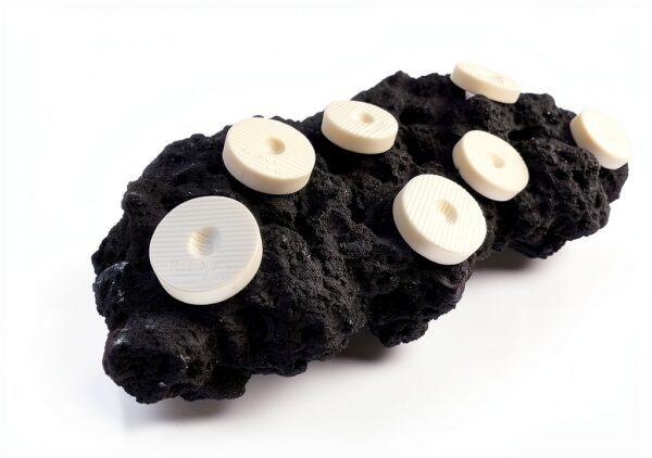 Ceramic Coral Frag Plugs 100 Pack Reefing Art Décor Heavy-3